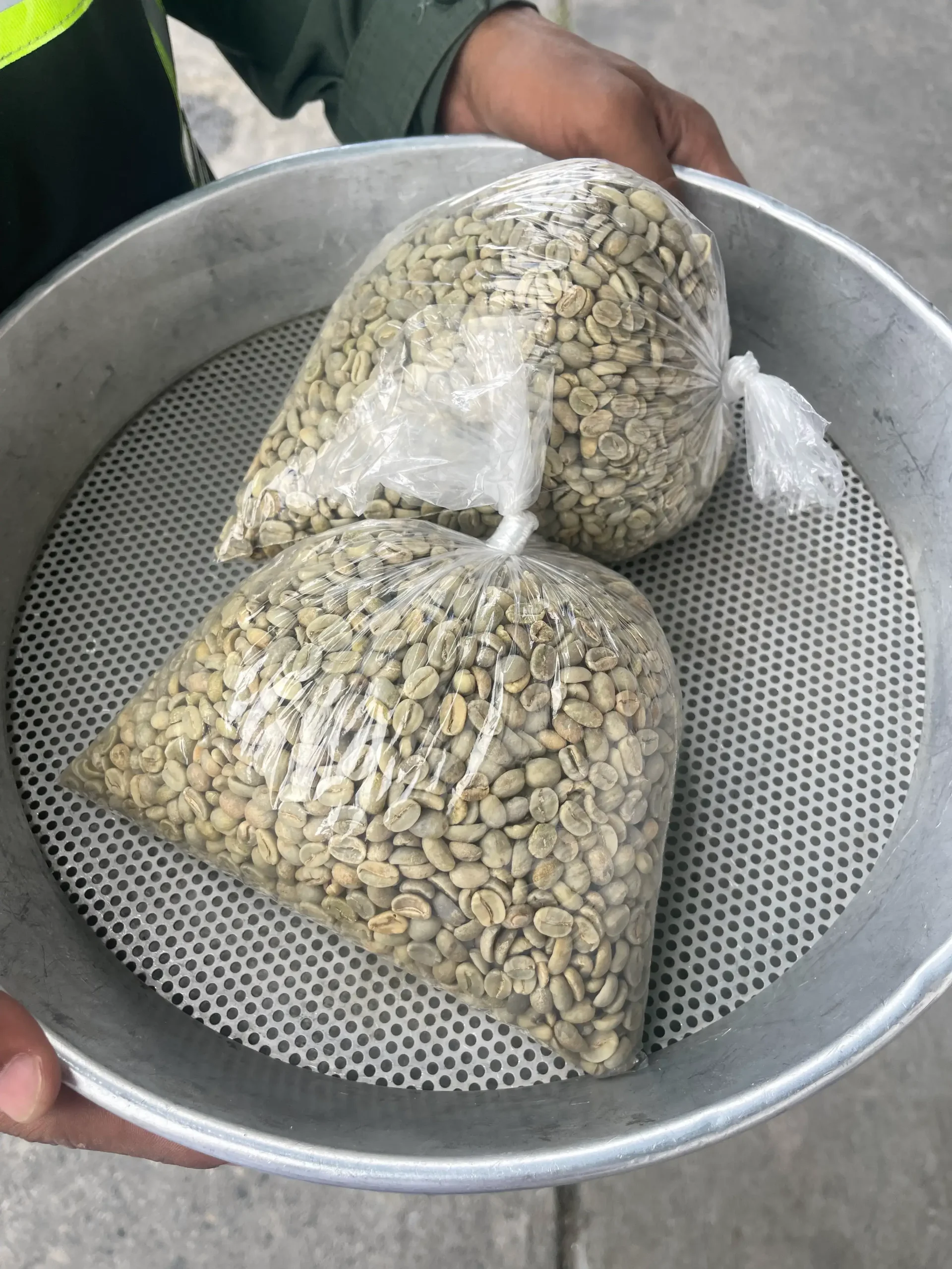 img 5860 1 scaled.webp