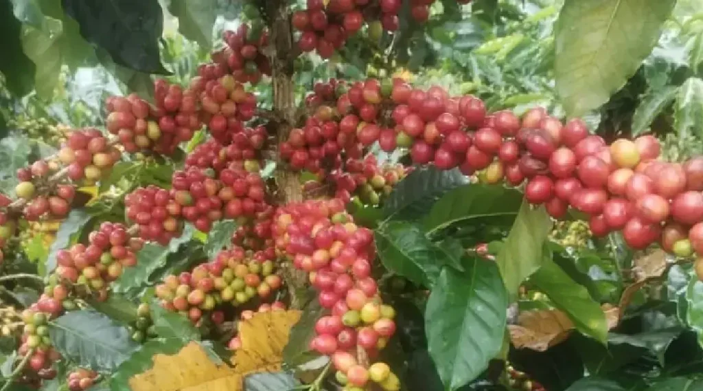 mesa de trabajo 1 100 (1)