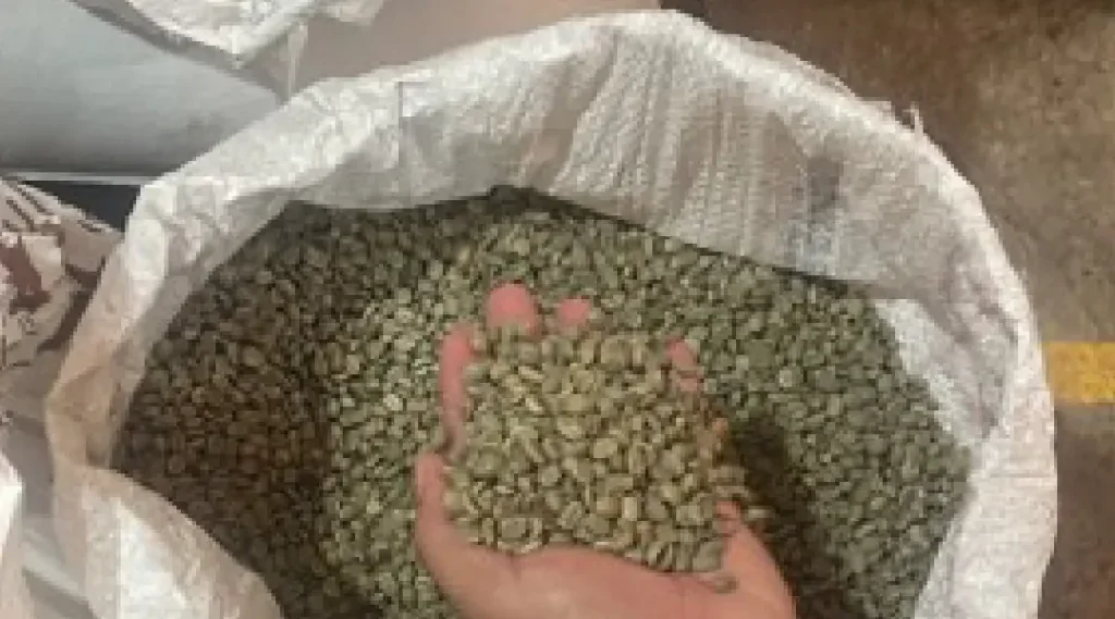 mesa de trabajo 2 100