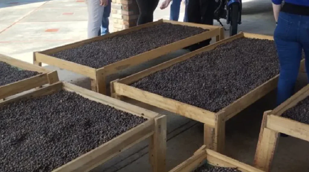 mesa de trabajo 3 100